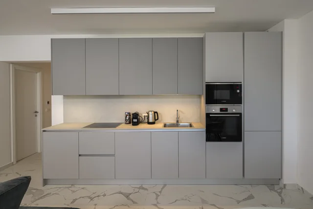 Contemporary kitchen with integrated appliances
