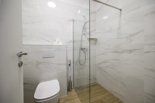 Bathroom with a walk-in shower, washbasin and toilet